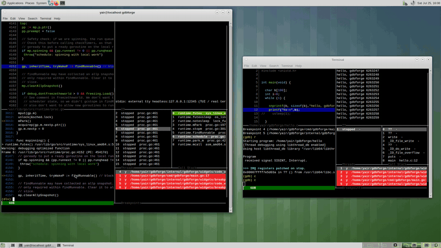 gdbforge debugging its own running session