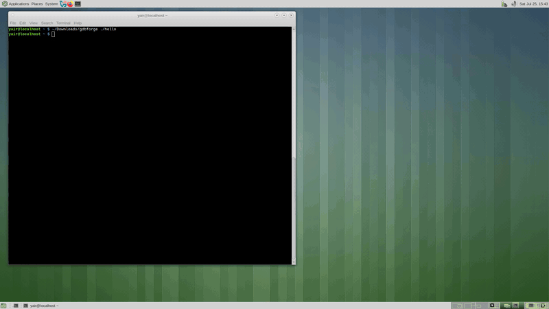 Linux application debugging demo